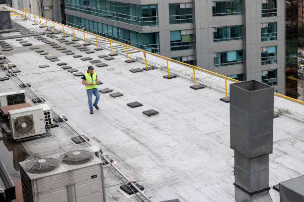 Best Roof Maintenance and Cleaning  in Lipatria, CA
