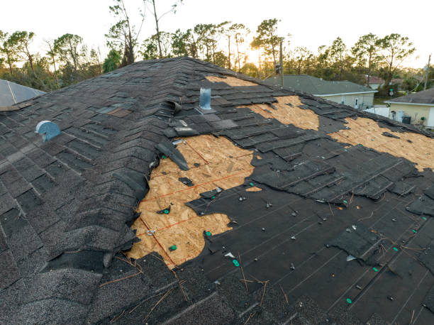 Best Gutter Installation and Repair  in Lipatria, CA